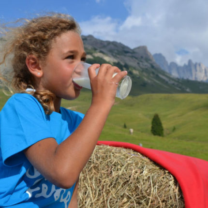 vacanza con bambini gratis in Trentino