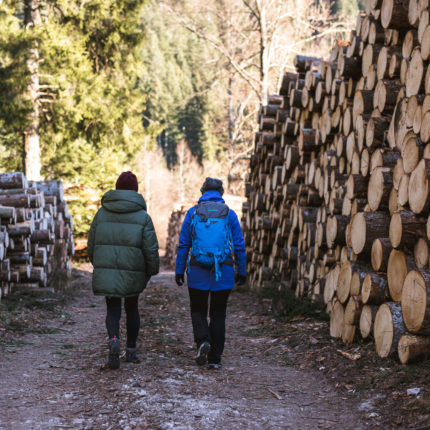 Cataste di legna - Trentino