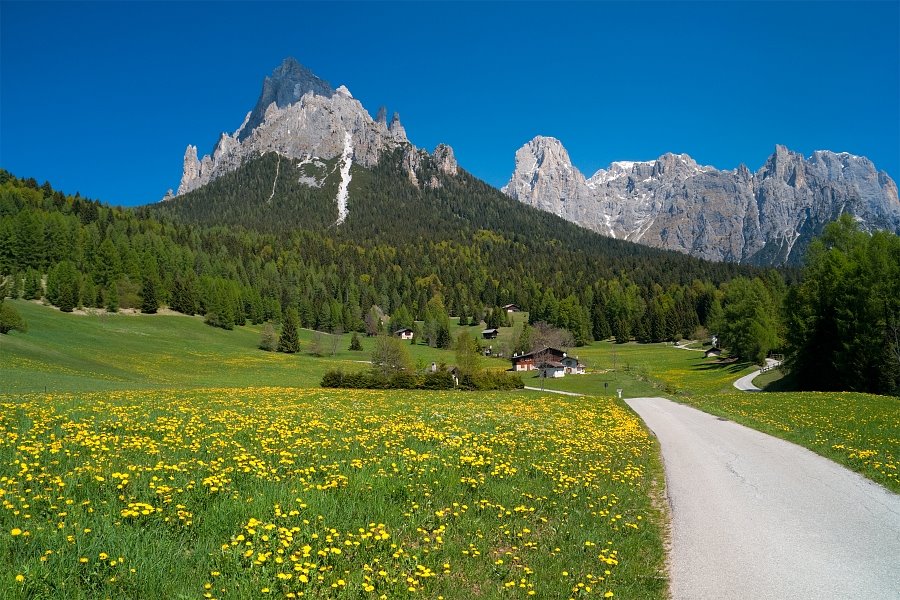 Le Pale di San Martino in Trentino