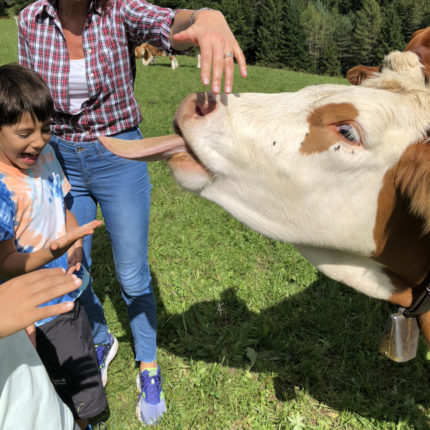 Bambini con le mucche