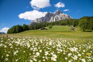 pasqua in trentino