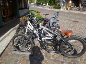 Bici stile Harley