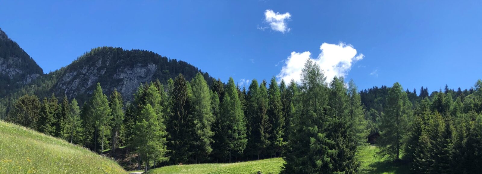 Sentiero facile in Trentino