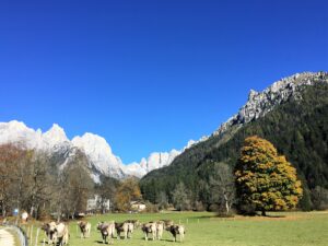 Autunno in Trentino