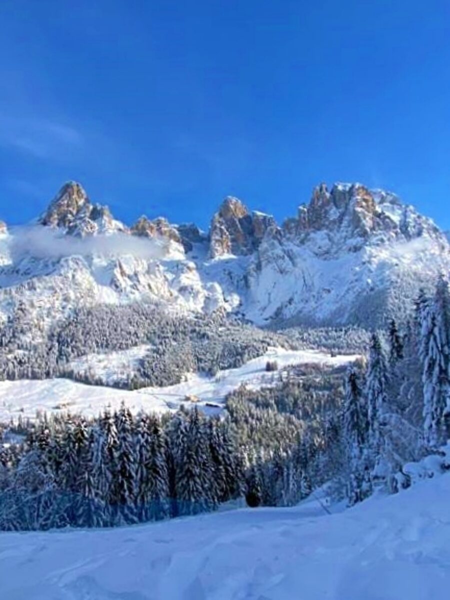 Pale San Martino con Neve in Trentino