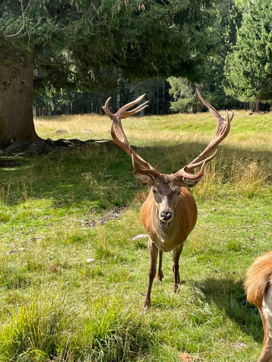 Offerte autunno in Trentino