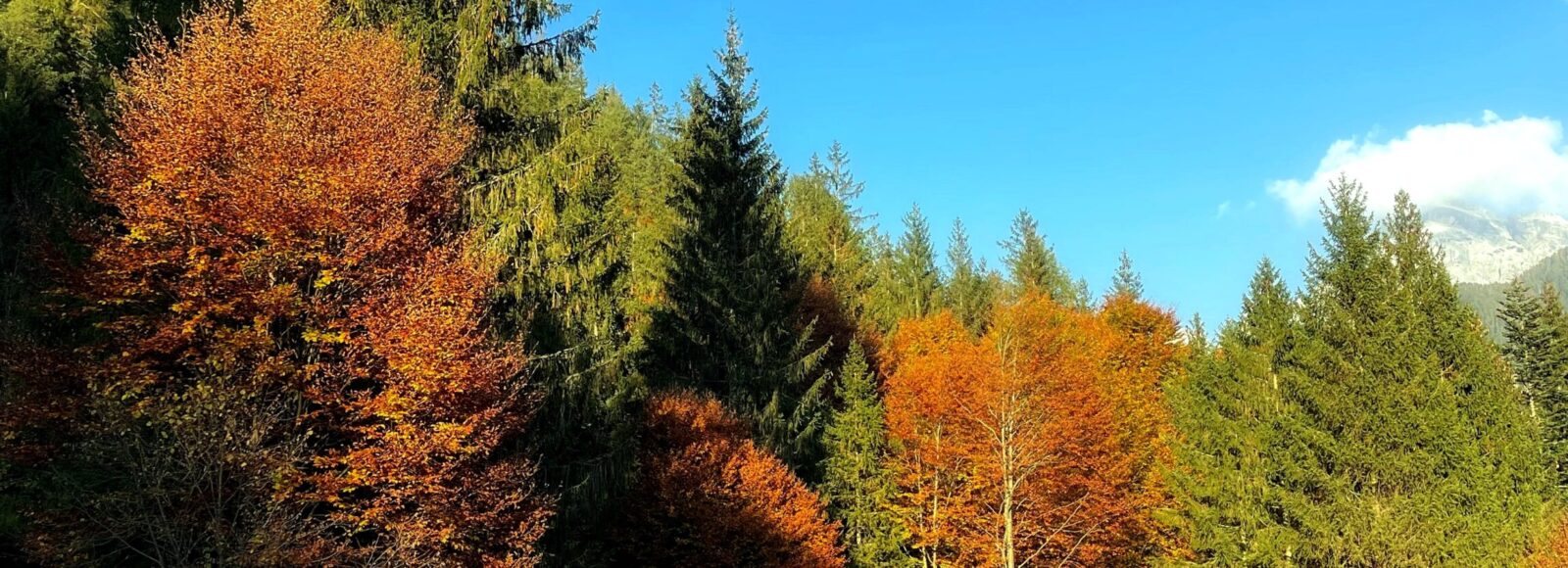 Autunno all'Hotel Isolabella