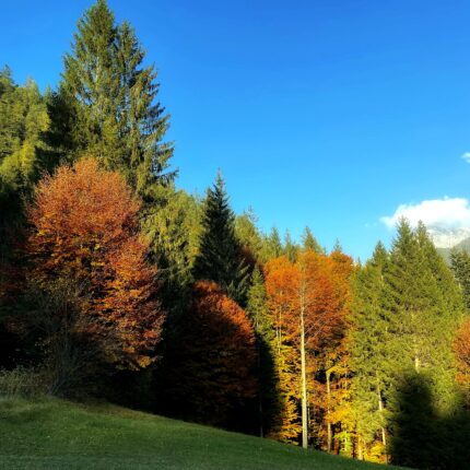 Autunno all'Hotel Isolabella