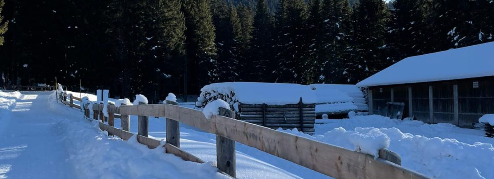 Passeggiata in Val Canali con Neve